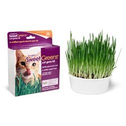 Cat Grass Kit M5562