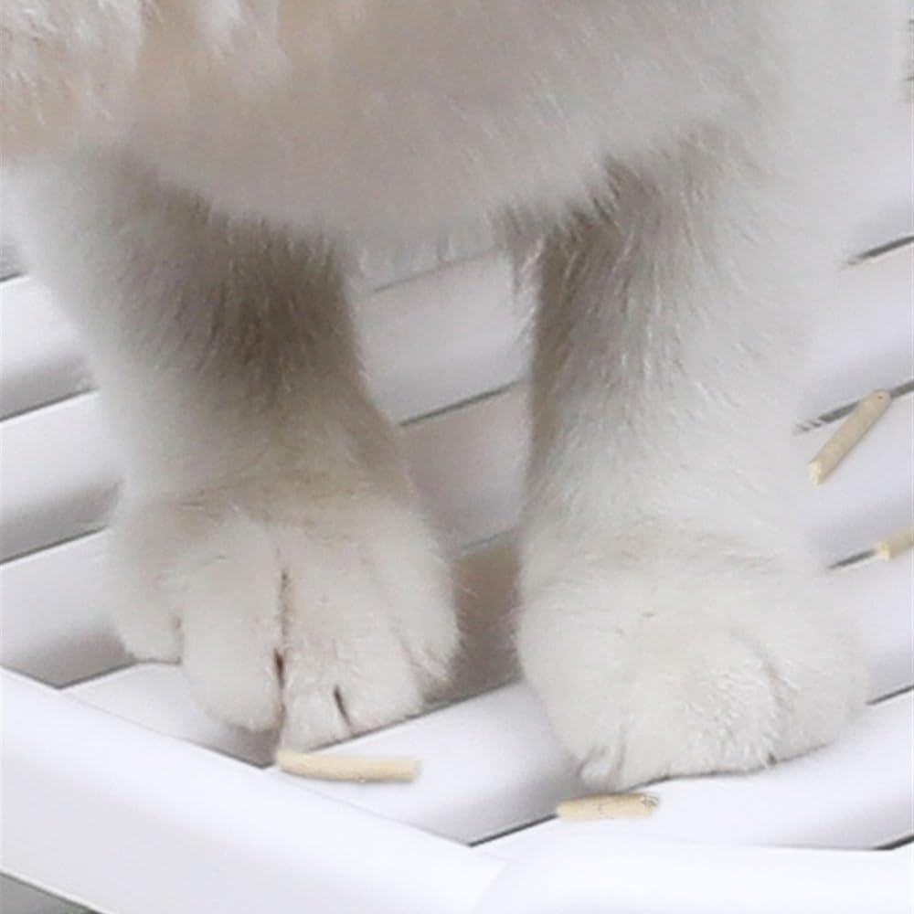 Enclosed Top-Entry Cat Litter Box with Scoop I87448