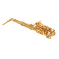 E Flat Alto Saxophone Set J9349