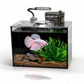 1.8 Gallon Fish Tank with Light Filter Lid Q2126