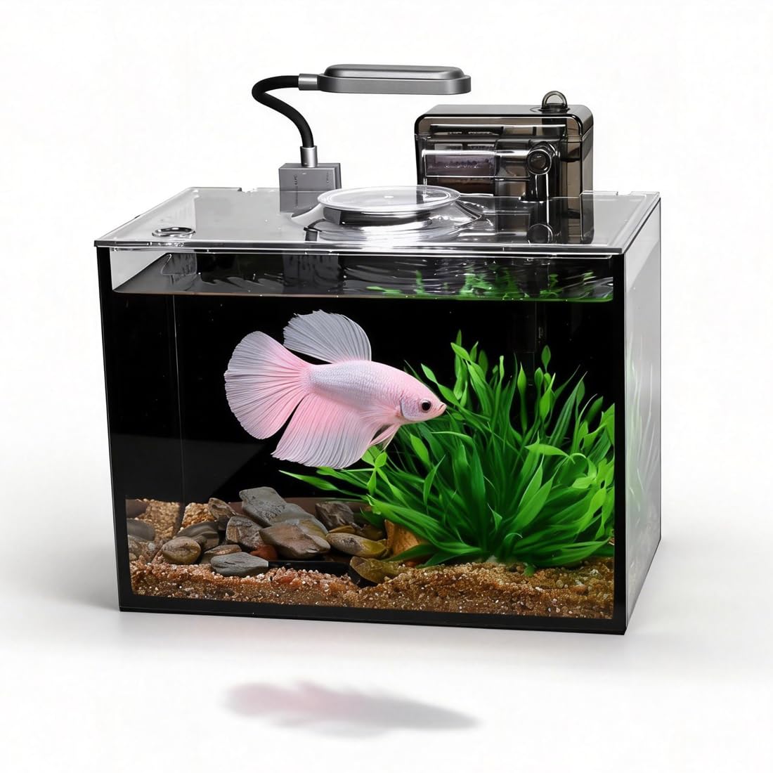 1.8 Gallon Fish Tank with Light Filter Lid Q2126