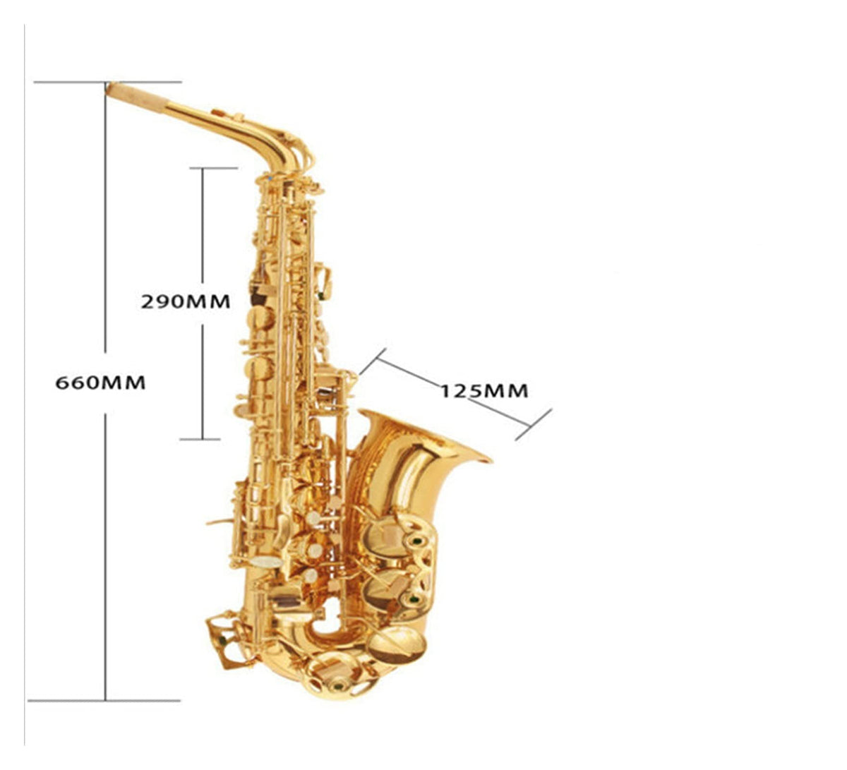 E Flat Alto Saxophone Set J9349