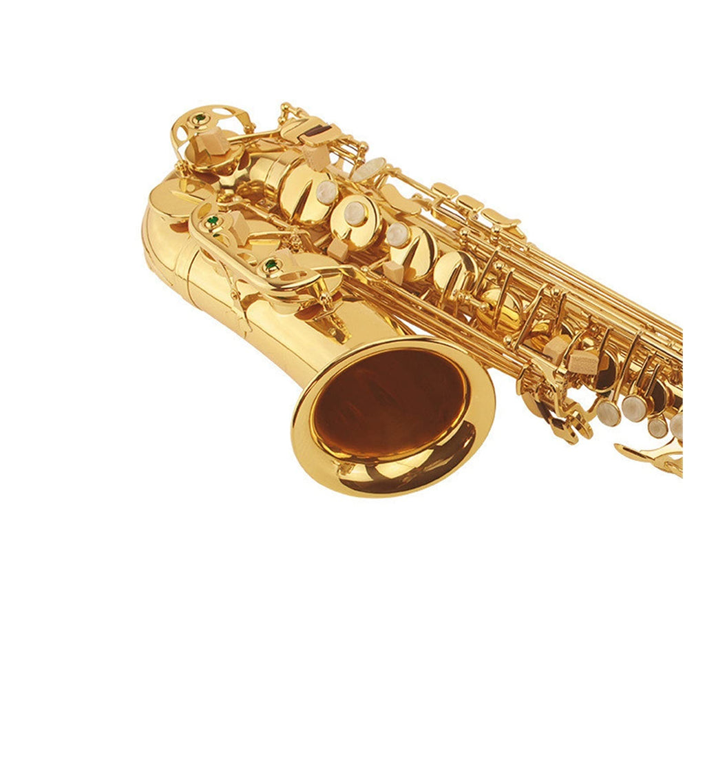 E Flat Alto Saxophone Set J9349