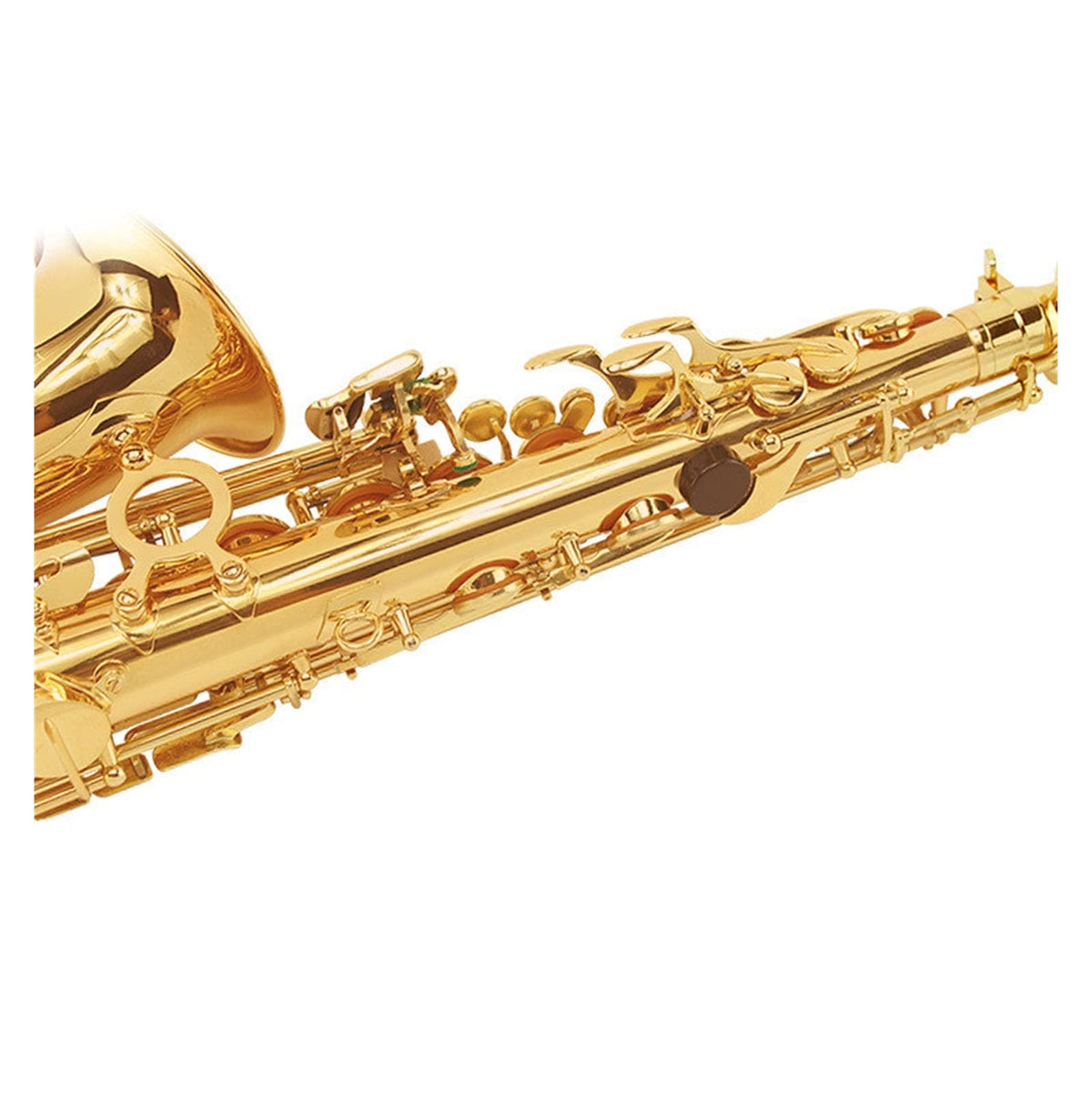 E Flat Alto Saxophone Set J9349