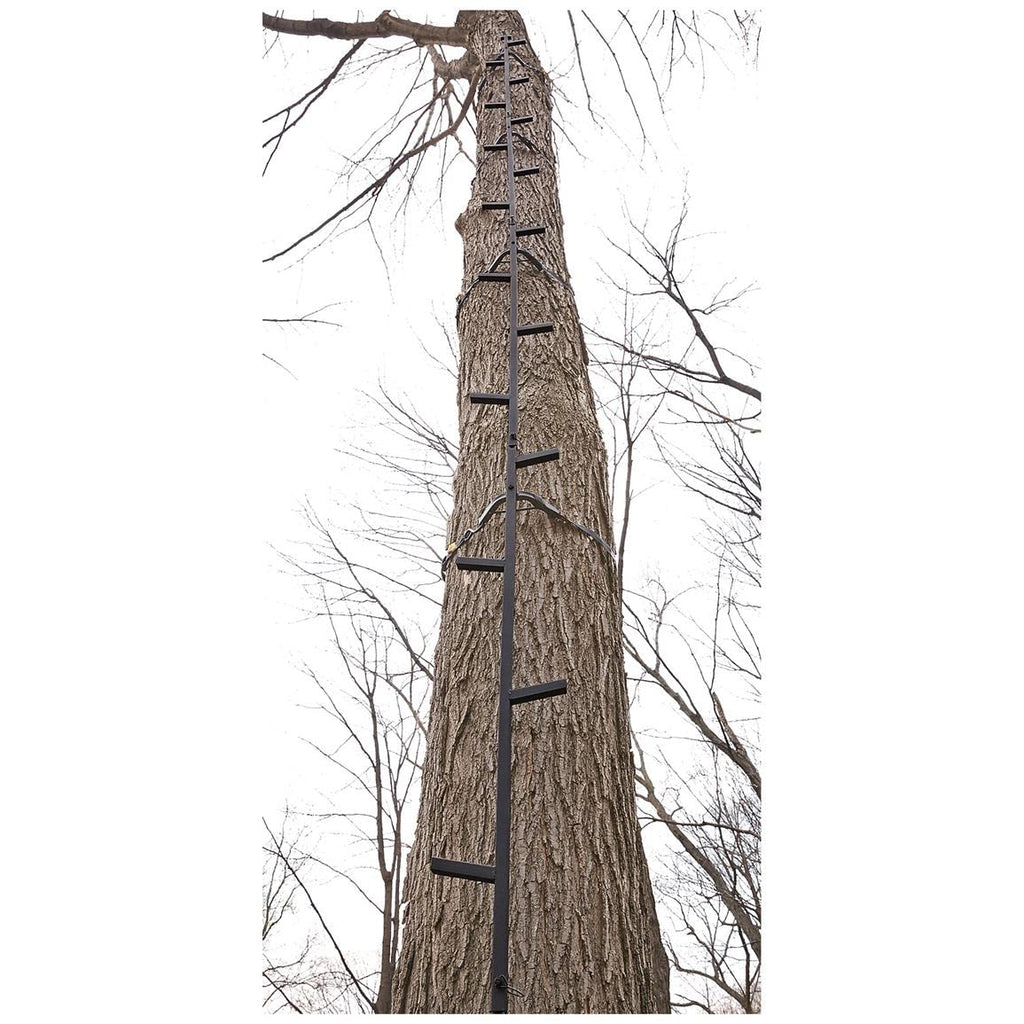 Climbing Stick Ladder C83420