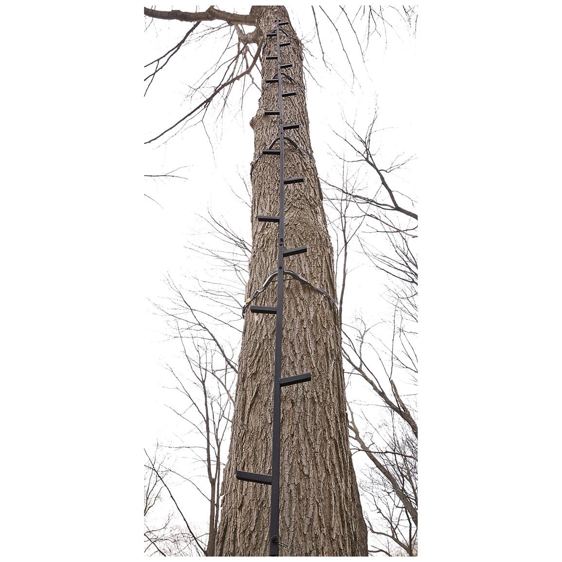 Climbing Stick Ladder C83420