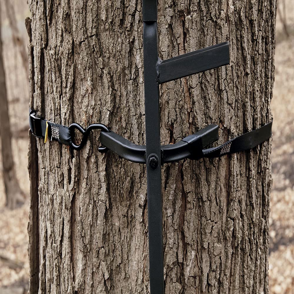 Climbing Stick Ladder C83420