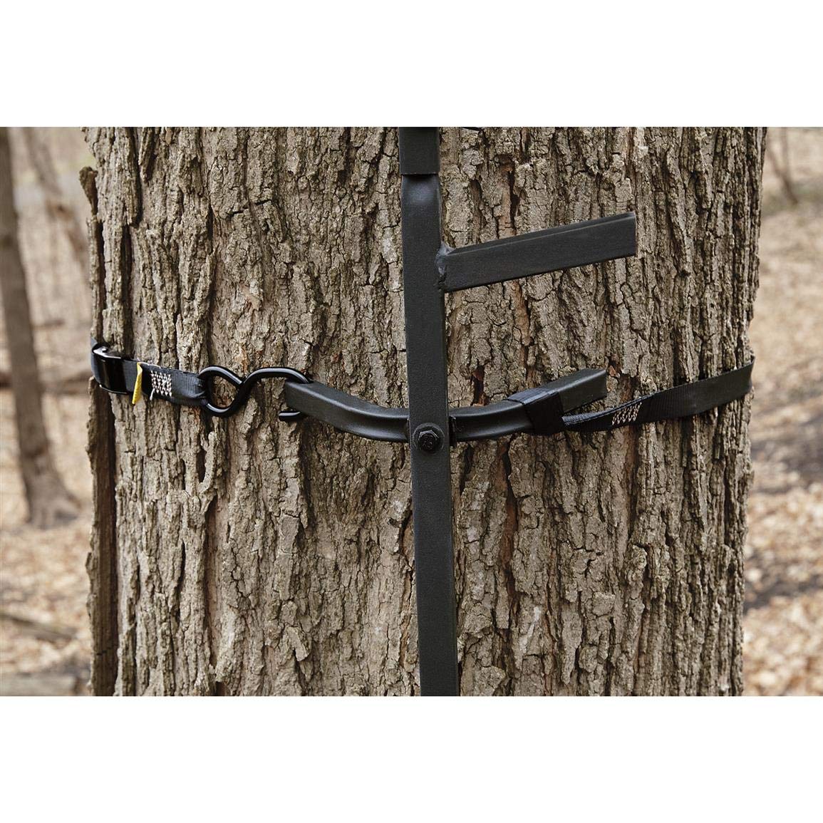 Climbing Stick Ladder C83420