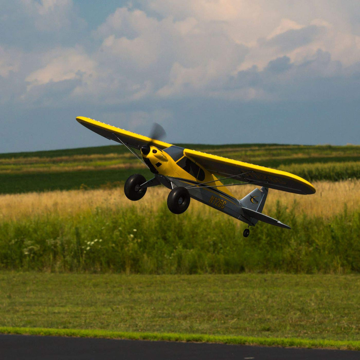 RC Airplane Carbon Cub S 2 1.3m RTF Basic B5463