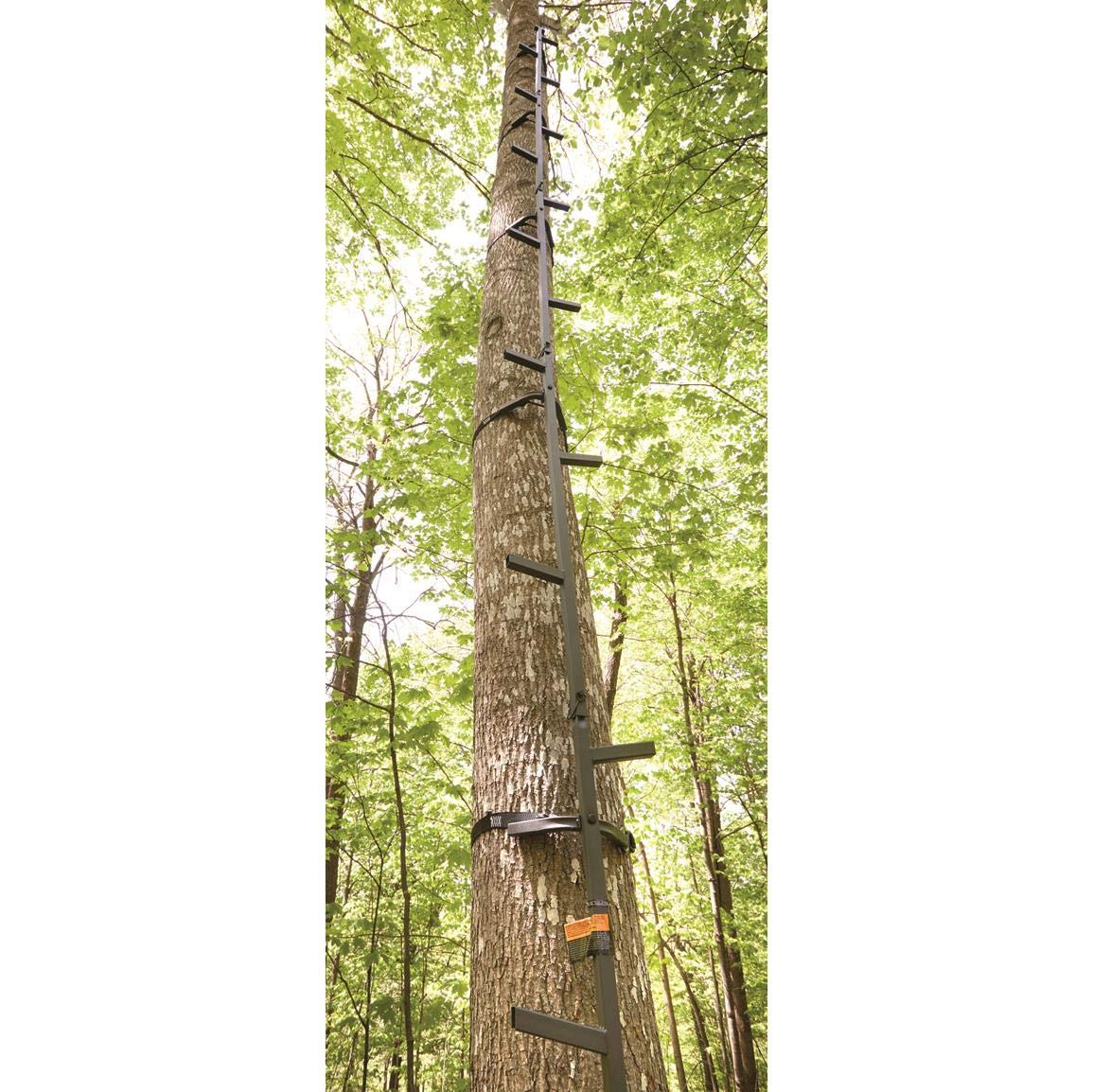 Climbing Stick Ladder C83420