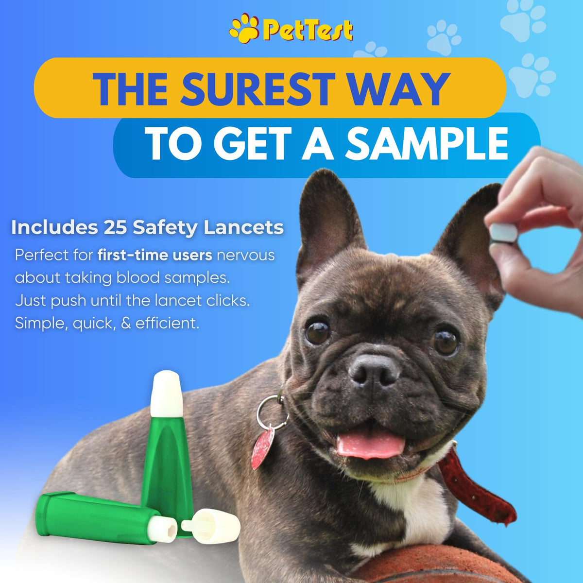 Glucose Monitor Kit for Dogs and Cats V911640