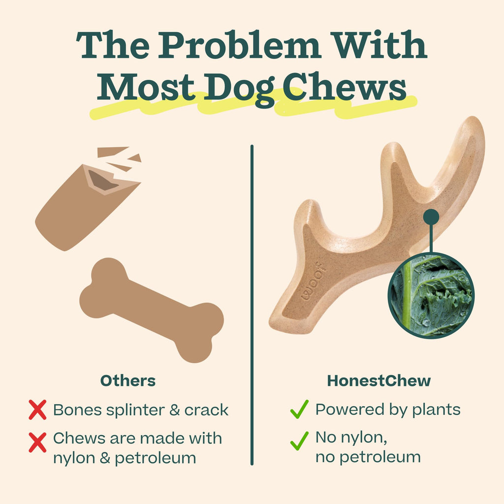 Antler Dog Chew Toy L2728