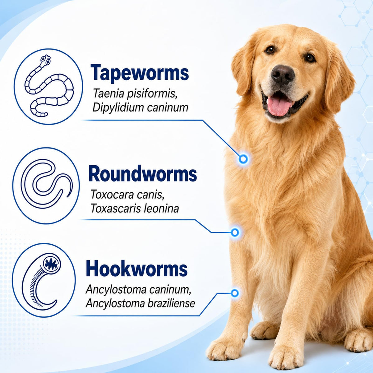 7 Way De-Wormer Tablet for Dogs L4684