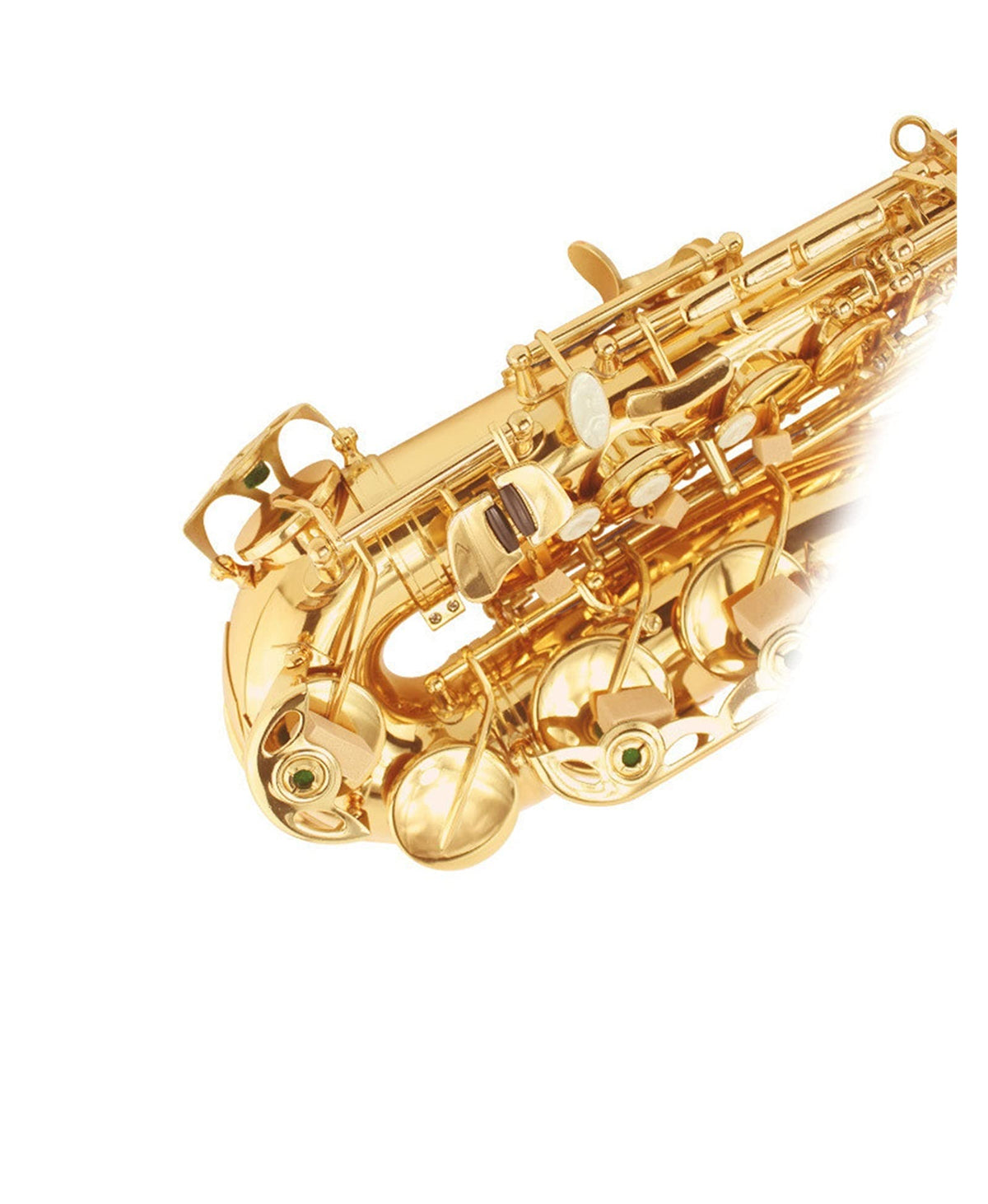 E Flat Alto Saxophone Set J9349