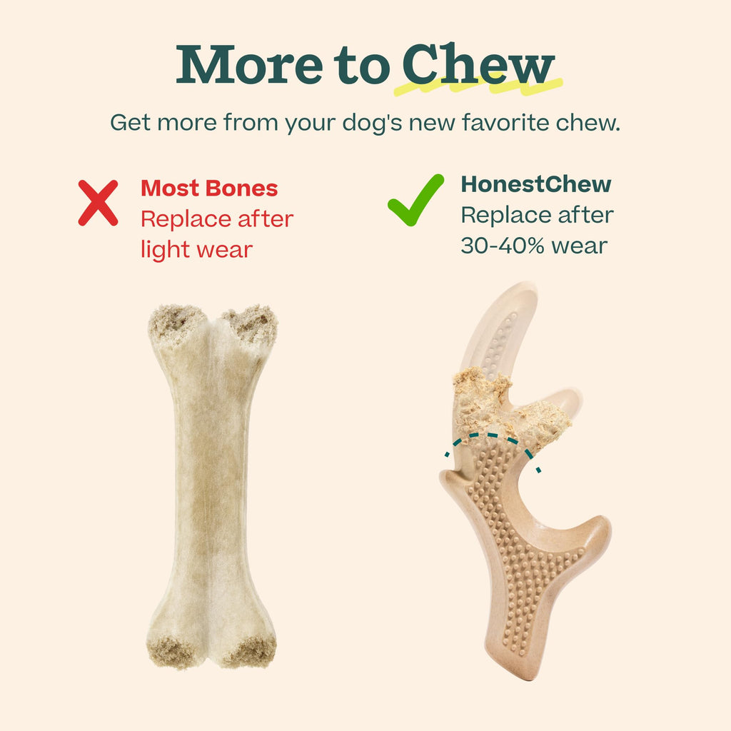 Antler Dog Chew Toy L2728