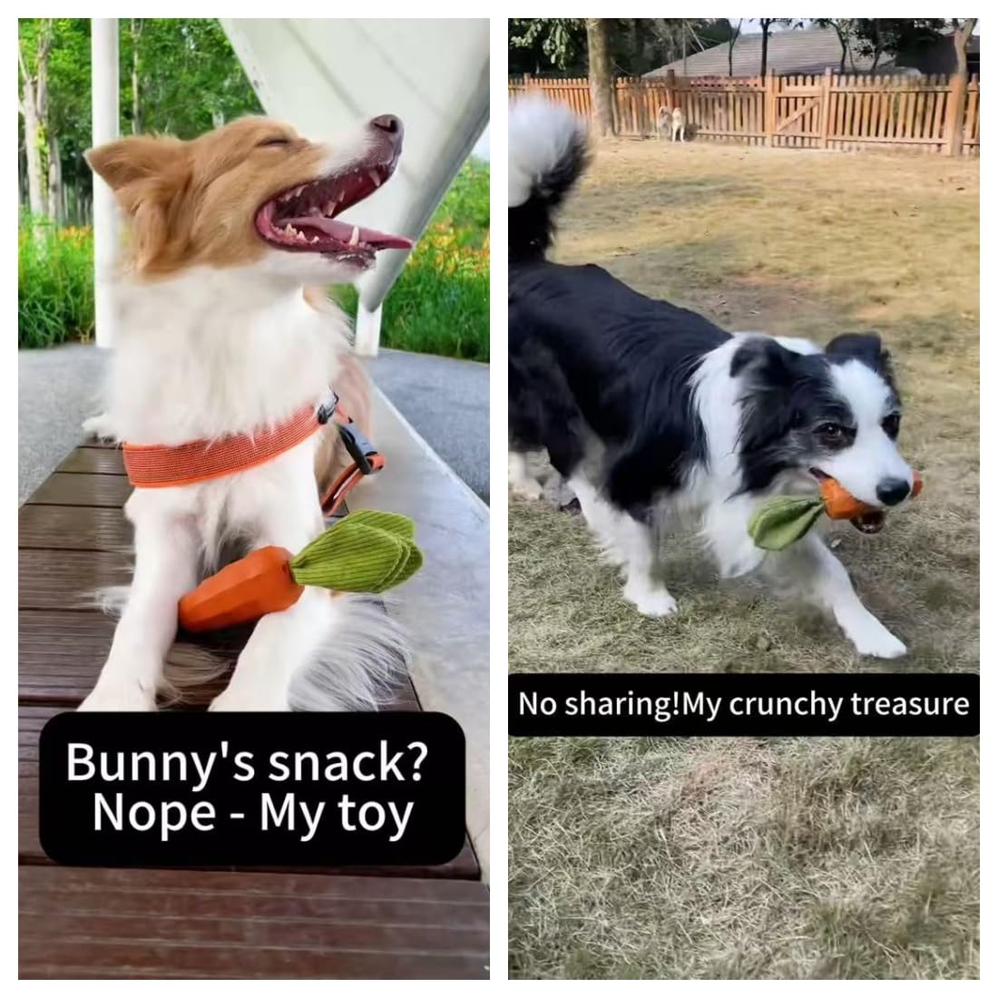 Rubber Squeaky Dog Chew Toys A106666