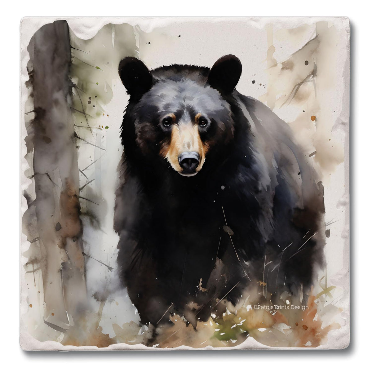 Black Bear Coasters Y8515