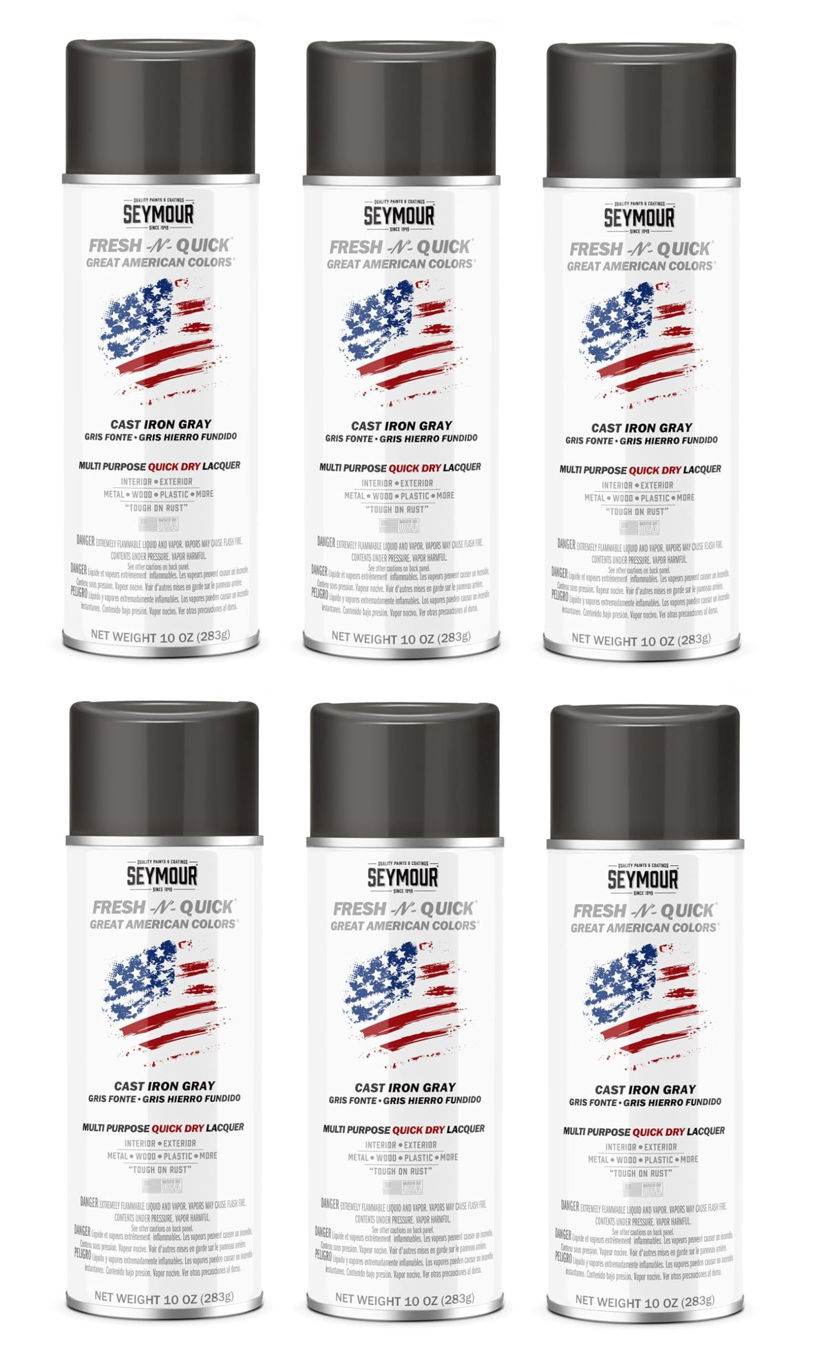 Cast Iron Gray Multi-Purpose Spray Paint 6-Pack M313991