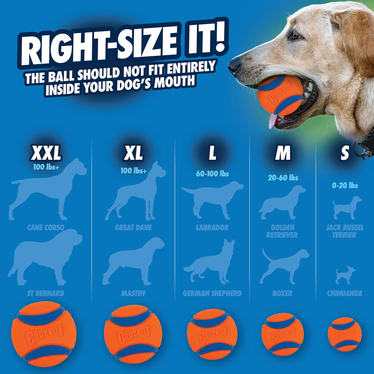 Medium Ultra Ball 8 Count Y6256