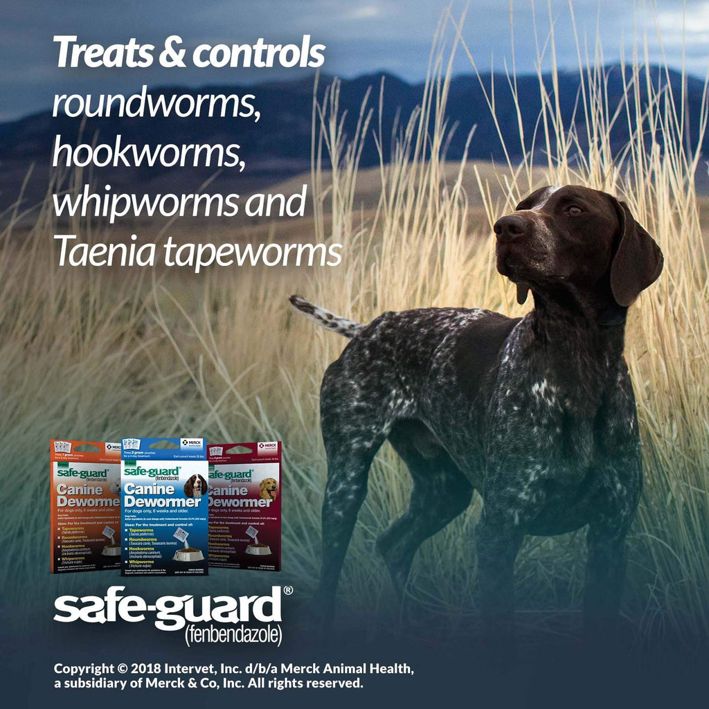 Canine Dewormer 4gm pouch Q21840