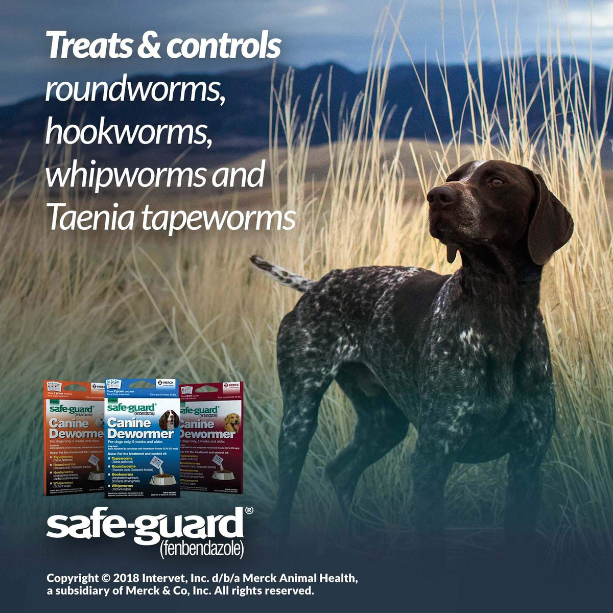 Canine Dewormer 4gm pouch Q21840