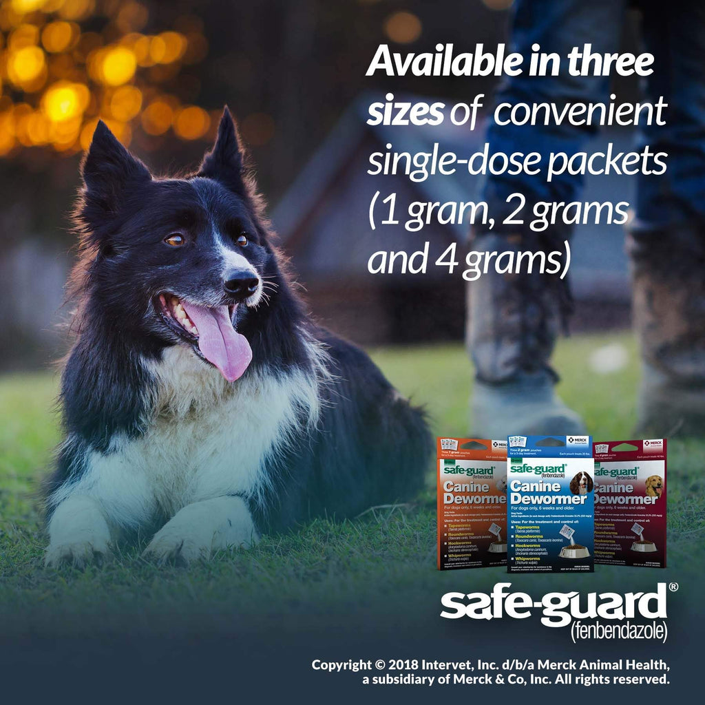 Canine Dewormer 4gm pouch Q21840