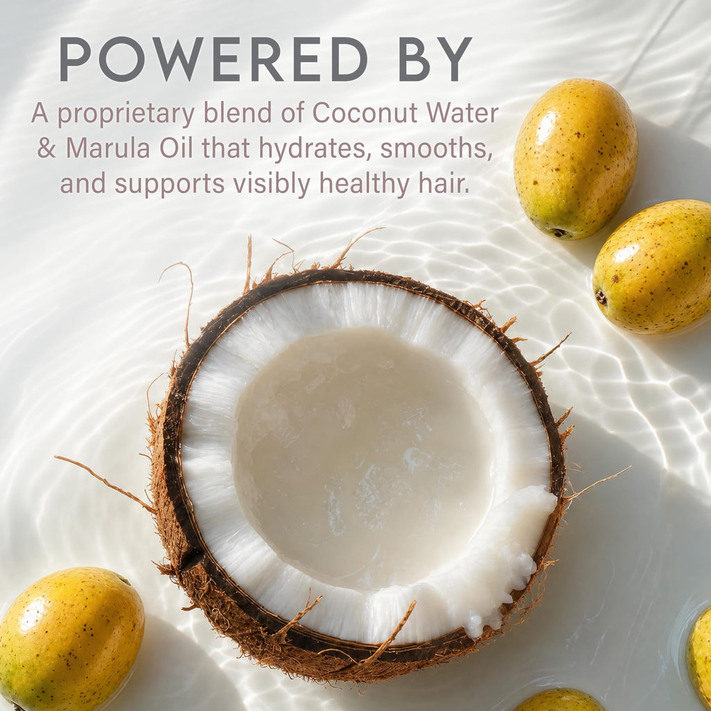 Coconut Water Based Moisturizing Hair Shampoo & Conditioner Set W537280