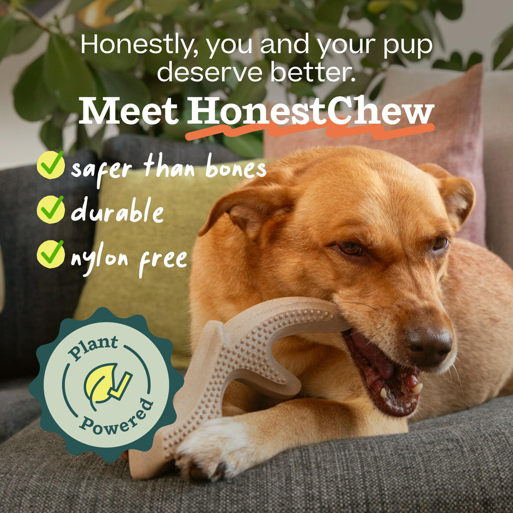Antler Dog Chew Toy L2728