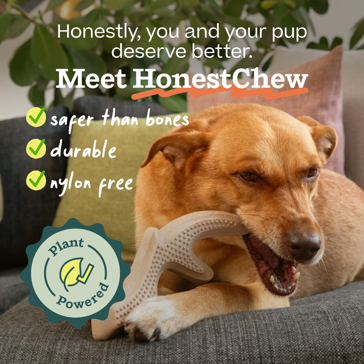 Antler Dog Chew Toy L2728