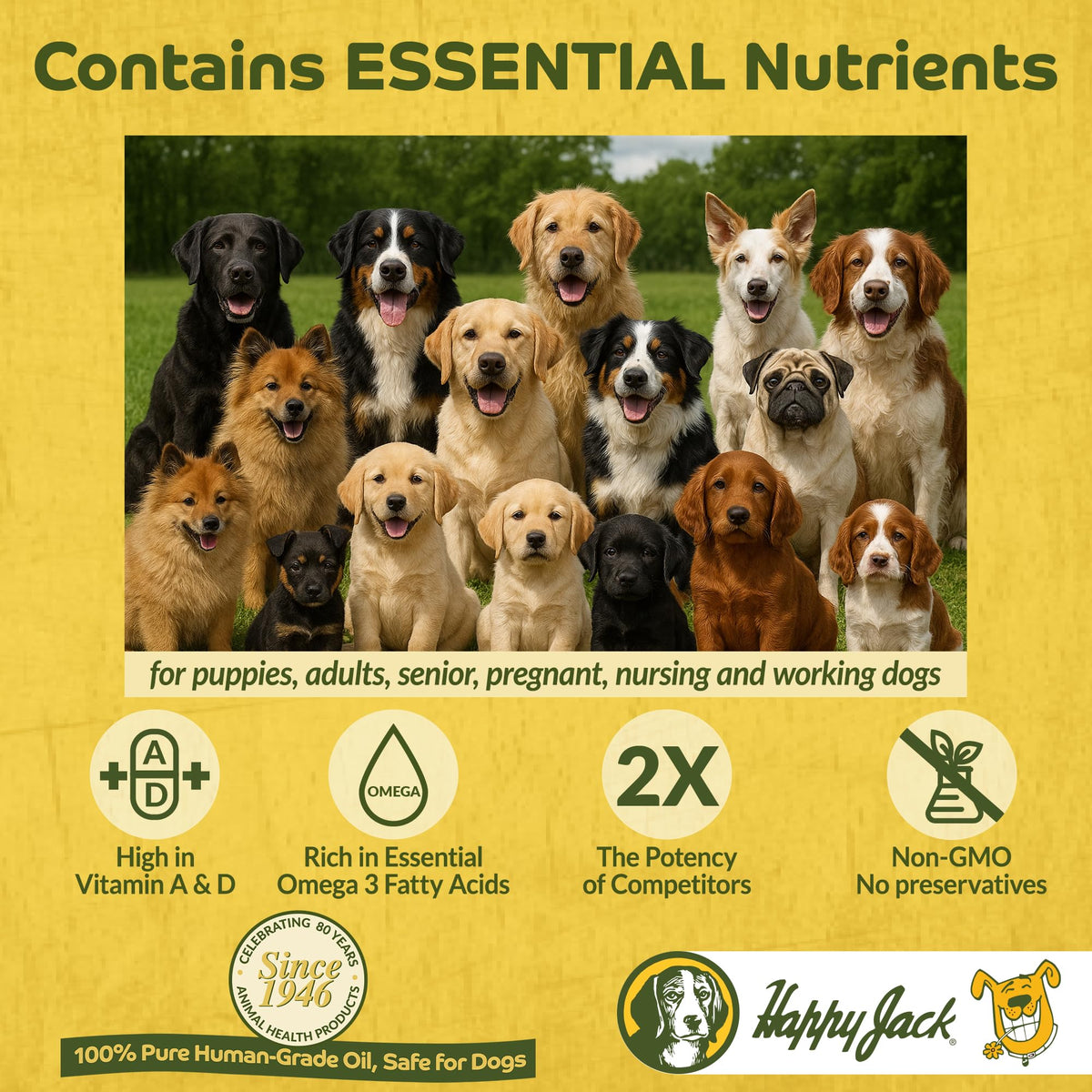 Cod Liver Fish Oil for Dogs 16 oz J82089