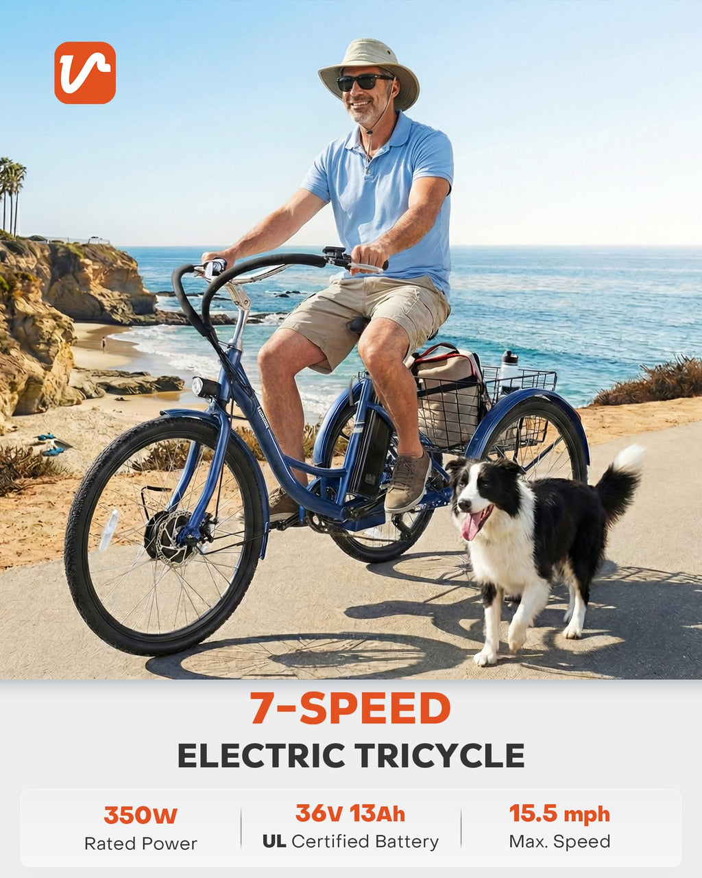 Electric Trike 7 Speed T329