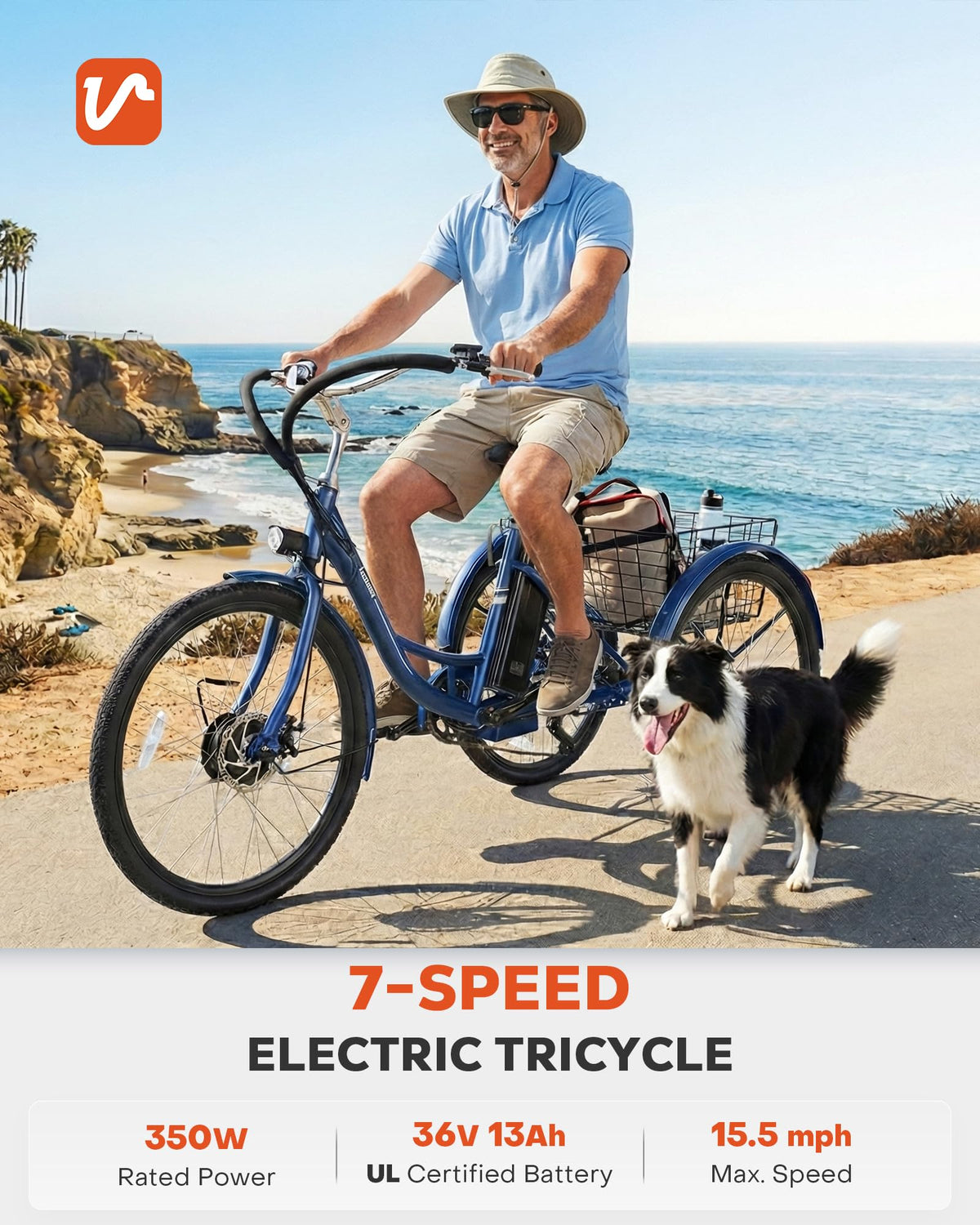 Electric Trike 7 Speed T329