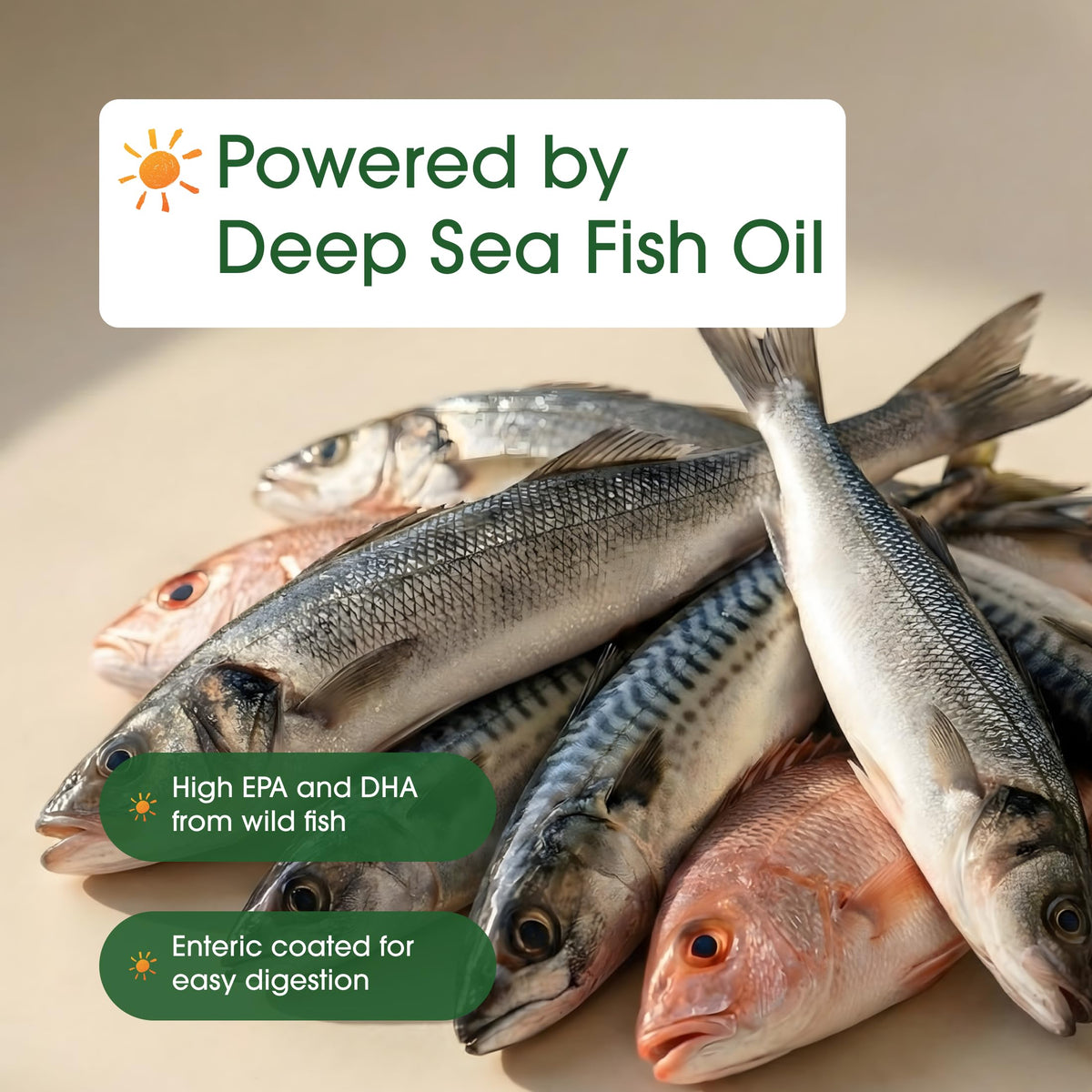 Omega-3 Fish Oil 3,000mg 240 Softgels U15161