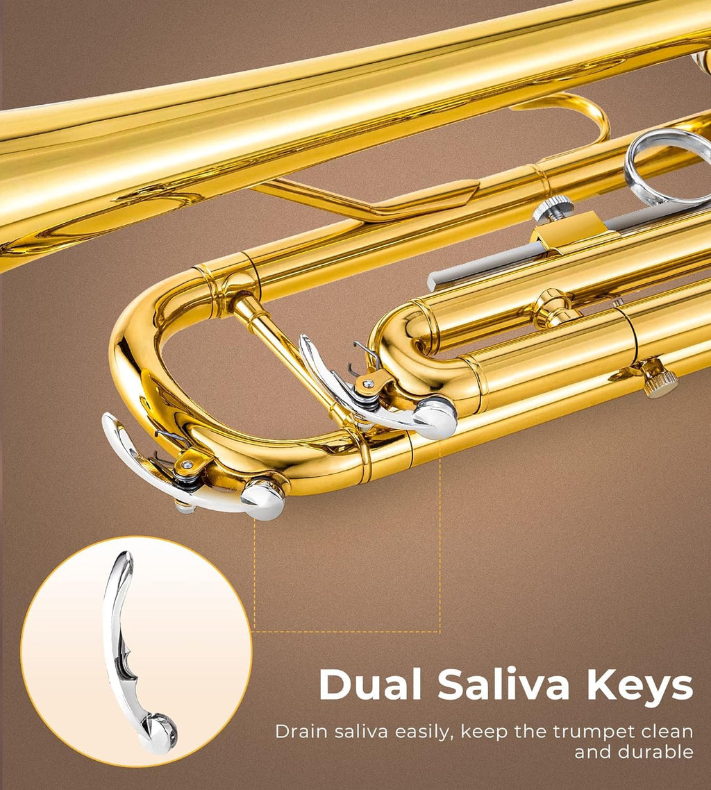 Bb Trumpet Gold Finish Brass H859161
