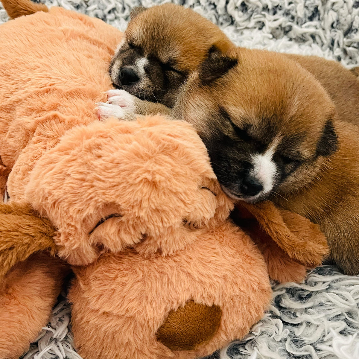 Heartbeat Toy for Medium Breeds A1032